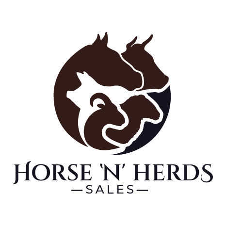 Horse 'N' Herds